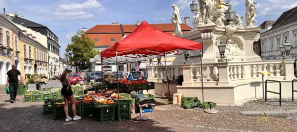 564m² Office in Modling, Austria No. 226548 24