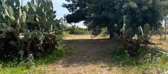 3غرفة منزل في Scicli, Italy رقم 256211 26