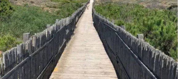 2 rooms Apartment in Badesi, Italy No. 82381 10