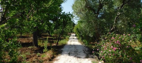 2 bedrooms House in Ceglie Messapica, Italy No. 174886 33