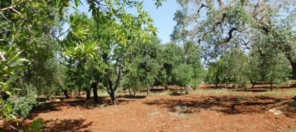 2 bedrooms House in Ceglie Messapica, Italy No. 174886 50