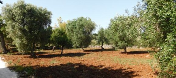 2 bedrooms House in Ceglie Messapica, Italy No. 174886 35