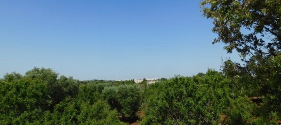 2 bedrooms House in Ceglie Messapica, Italy No. 174886 11