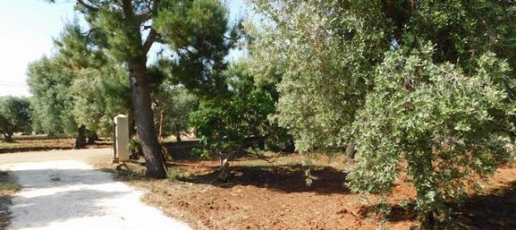 2 bedrooms House in Ceglie Messapica, Italy No. 174886 36