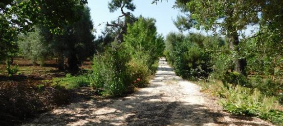 2 bedrooms House in Ceglie Messapica, Italy No. 174886 32