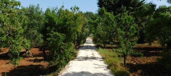 2 bedrooms House in Ceglie Messapica, Italy No. 174886 49