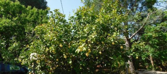 2 bedrooms House in Ceglie Messapica, Italy No. 174886 40