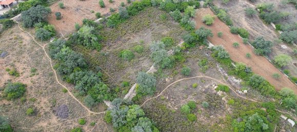 2800m² Land in Sao Bras de Alportel, Portugal No. 61220 5