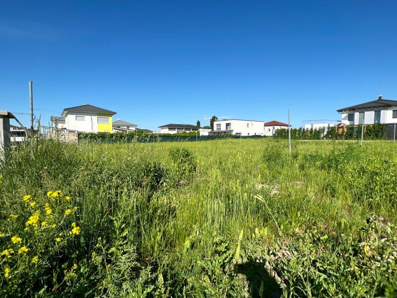  قطعة أرض في Pottendorf, Austria 644متر مربع رقم 236274