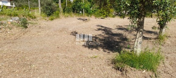  قطعة أرض في Amarante, Portugal 1620متر مربع رقم 57607 38