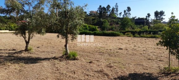  قطعة أرض في Amarante, Portugal 1620متر مربع رقم 57607 39