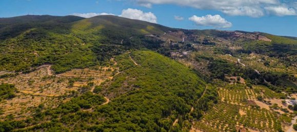  Hotel in Zakynthos, Greece No. 440 8