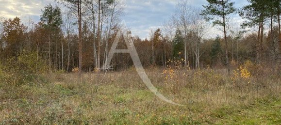  Land in Pruniers-en-Sologne, France No. 79459 3