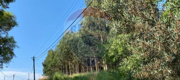 9900m² Land in Vila Nova de Gaia, Portugal No. 42897 3