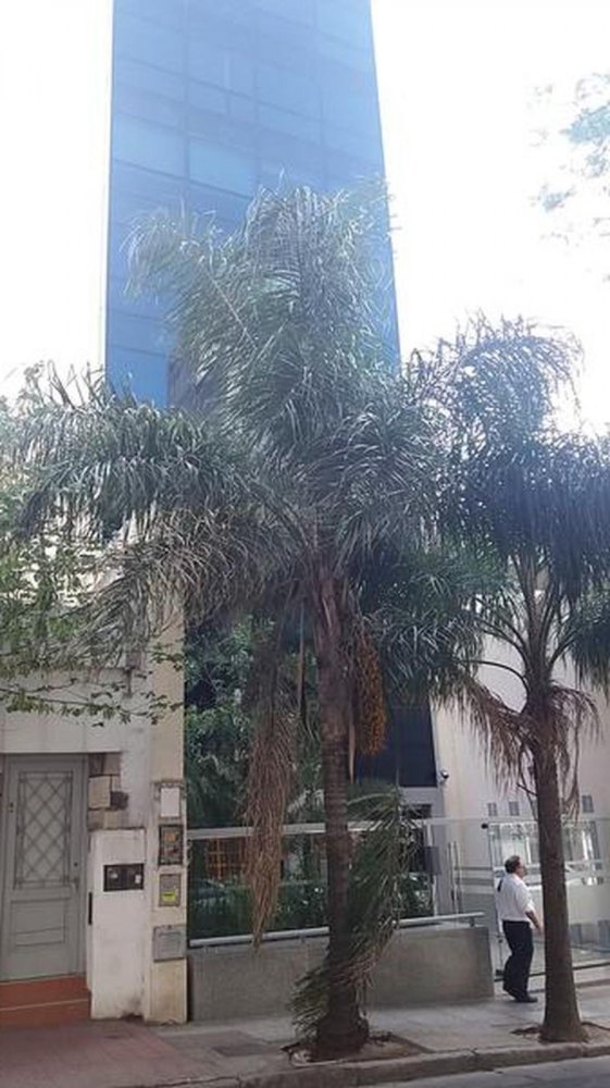  Office in Cordoba, Argentina No. 23352