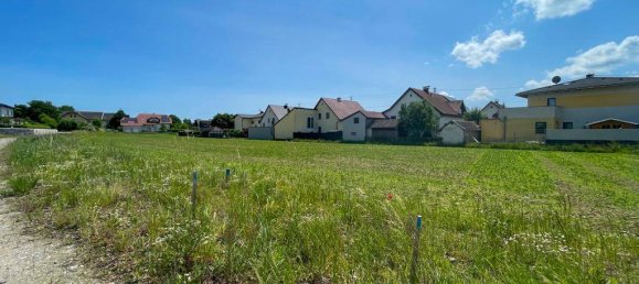 677m² Land in Hartkirchen, Austria No. 165635 2