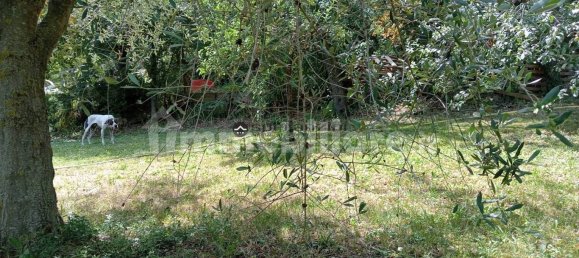 2 chambres Maison à Colli al Metauro, Italy No. 74891 11