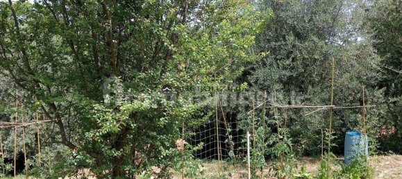 2 chambres Maison à Colli al Metauro, Italy No. 74891 14