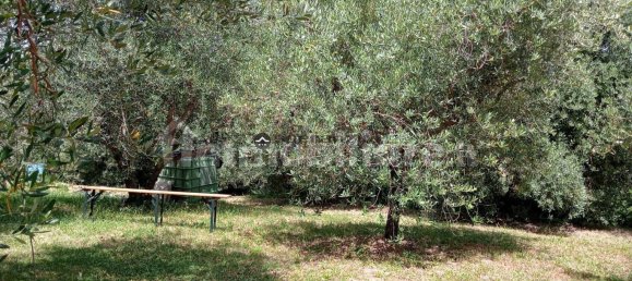 2 chambres Maison à Colli al Metauro, Italy No. 74891 16