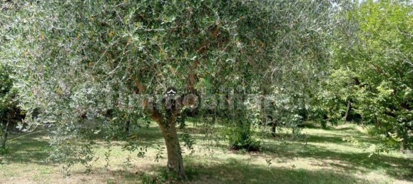 2 chambres Maison à Colli al Metauro, Italy No. 74891 15