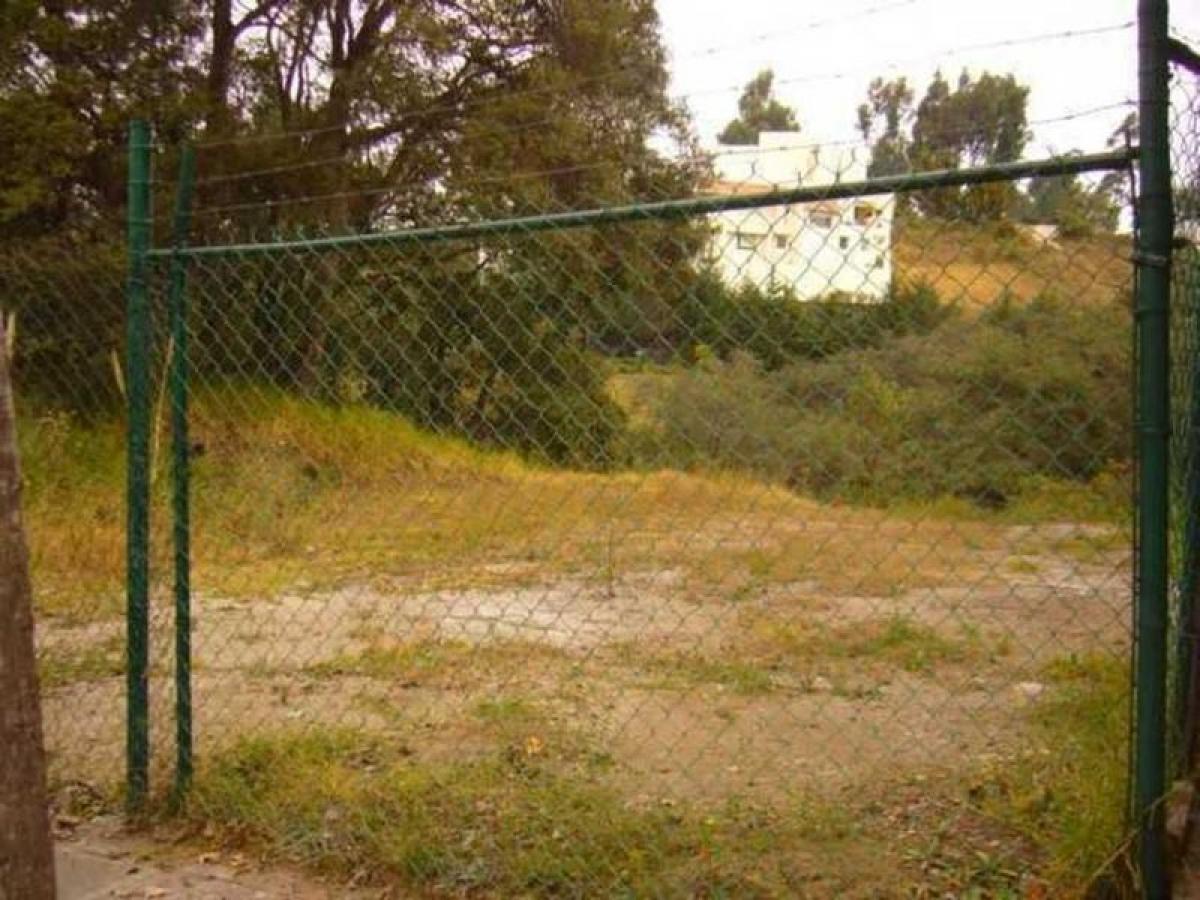  Land in Mexico No. 204788