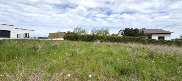  قطعة أرض في Sierning, Austria رقم 163967 5