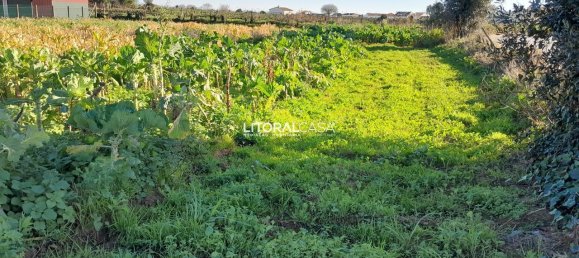 Grundstück in Aveiro, Portugal 1856m², Nr. 151148 3