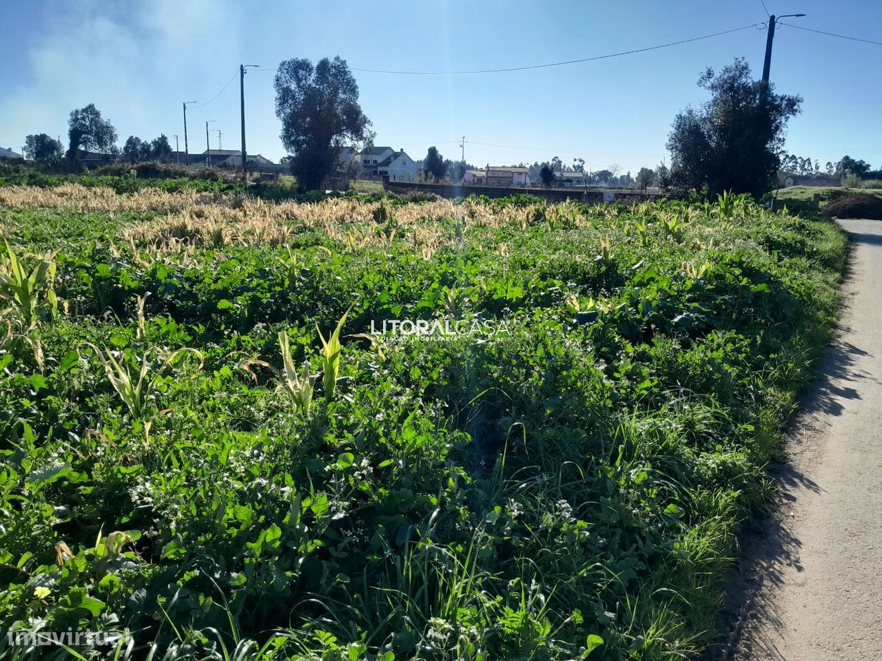 Grundstück in Aveiro, Portugal 1856m², Nr. 151148