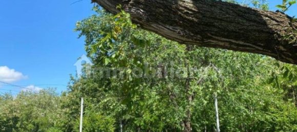 5 bedrooms Apartment in Orbassano, Italy No. 311471 14