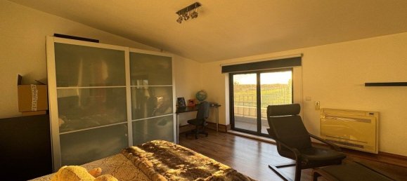 5 bedrooms House in Samouco, Portugal No. 104956 25