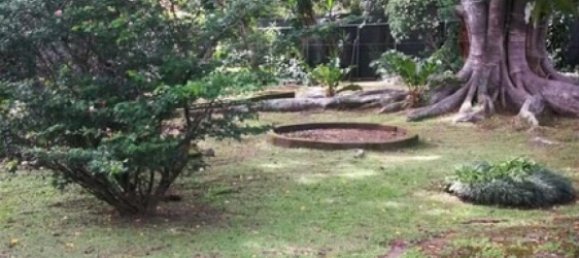  Land in Santa Ana, Costa Rica No. 1850 5