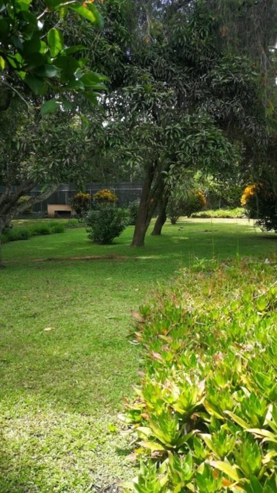  Land in Santa Ana, Costa Rica No. 1850