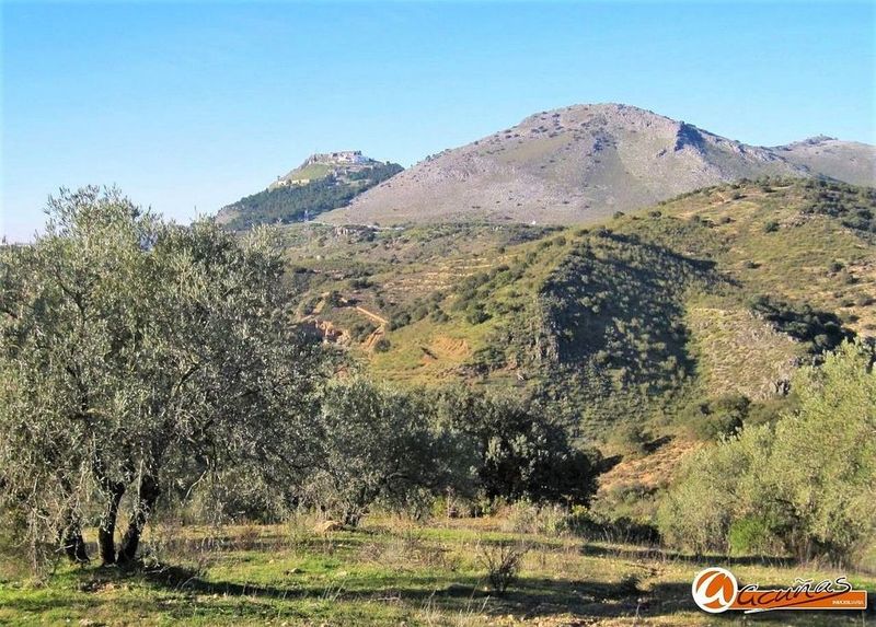 109958m² Land in Archidona, Spain No. 219680