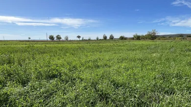  قطعة أرض في Winden am See, Austria رقم 22707