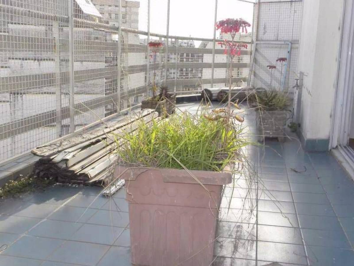 Apartamento de 3 dormitorios en Buenos Aires, Argentina No. 79759