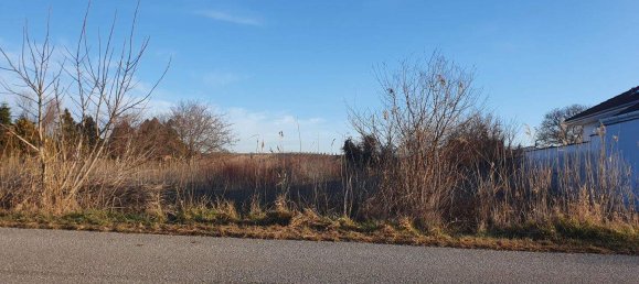 Земельный участок в Гольс, Австрия № 70045 2