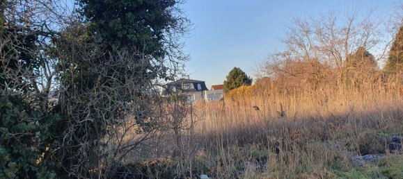 Земельный участок в Гольс, Австрия № 70045 4