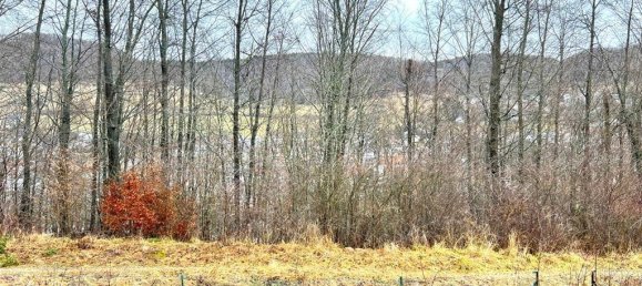 8-salle Maison à Zollernalbkreis, Germany No. 72336 9