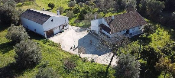 4 bedrooms House in Torres Novas, Portugal No. 21932 7
