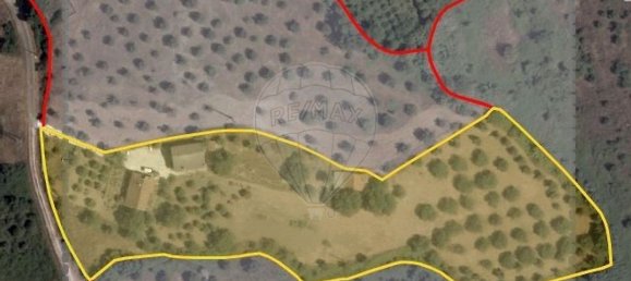 4 bedrooms House in Torres Novas, Portugal No. 21932 2