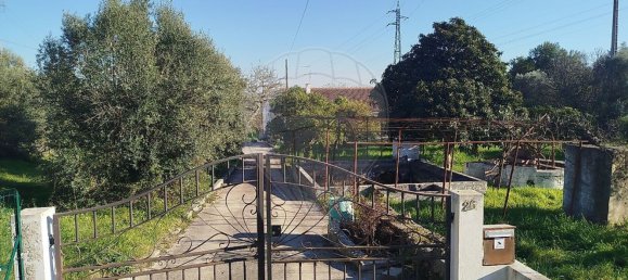 4 bedrooms House in Torres Novas, Portugal No. 21932 6