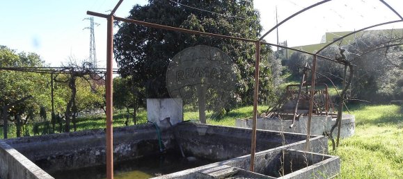 4 bedrooms House in Torres Novas, Portugal No. 21932 42