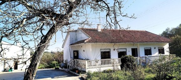 4 bedrooms House in Torres Novas, Portugal No. 21932 8