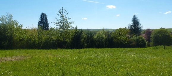 5000m² Land in Jevoncourt, France No. 91100 2