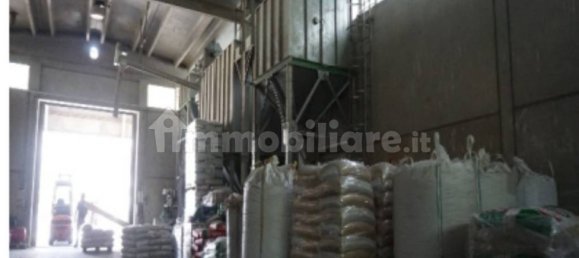 5 rooms Warehouse in Venosa, Italy No. 346302 10