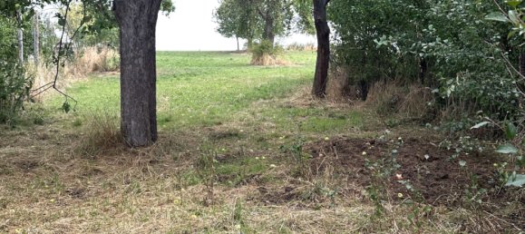 5غرفة منزل في Duren, Germany رقم 263370 14