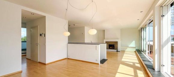 4 chambres Penthouse à Linz, Austria No. 155176 8