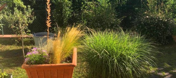 3 rooms Apartment in Ameglia, Italy No. 291056 23