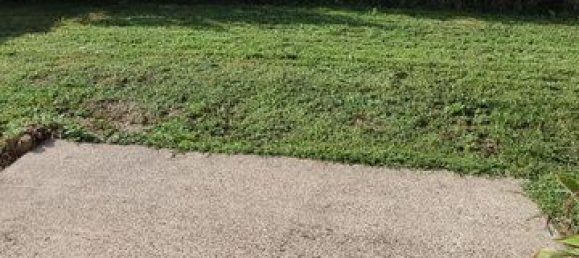 2 bedrooms House in Hagetmau, France No. 319838 5