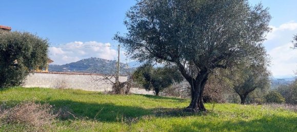 Terrain à Sant'Angelo Romano, Italy No. 203451 3